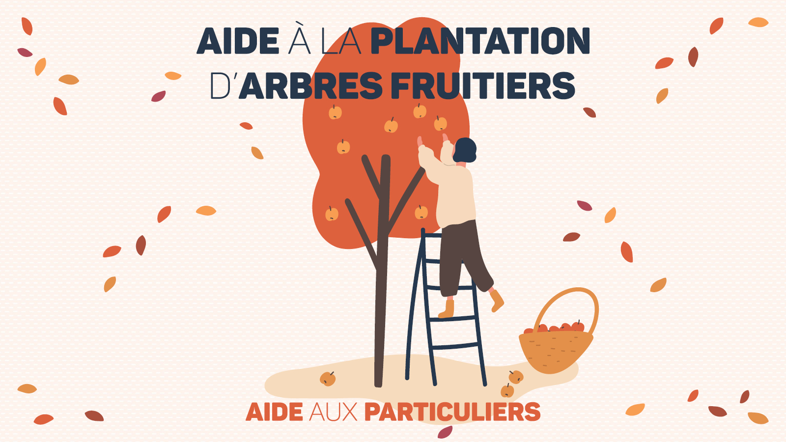Aide à la plantation d'arbres fruitiers