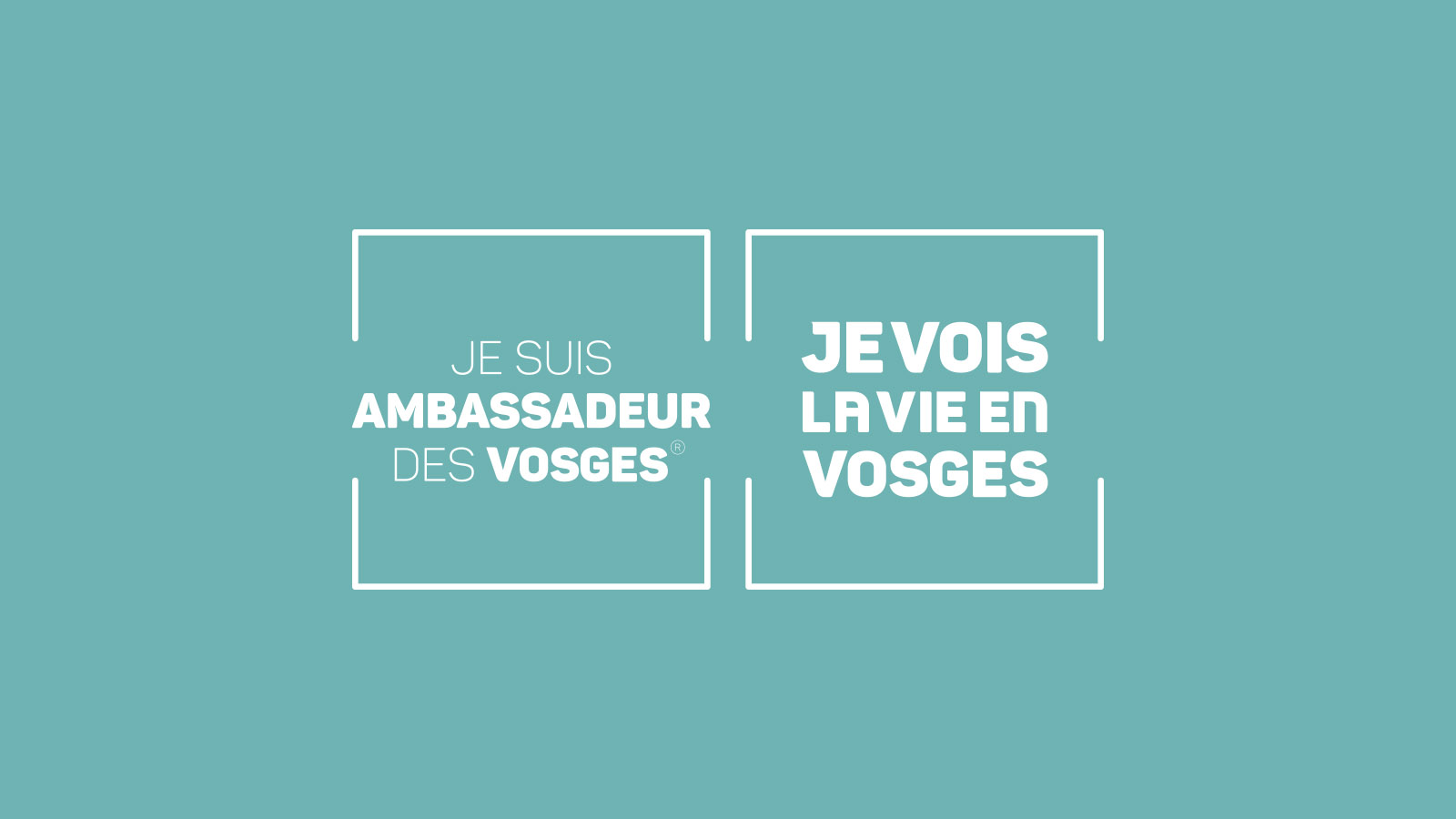 Le réseau « Ambassadeurs des Vosges ® » 