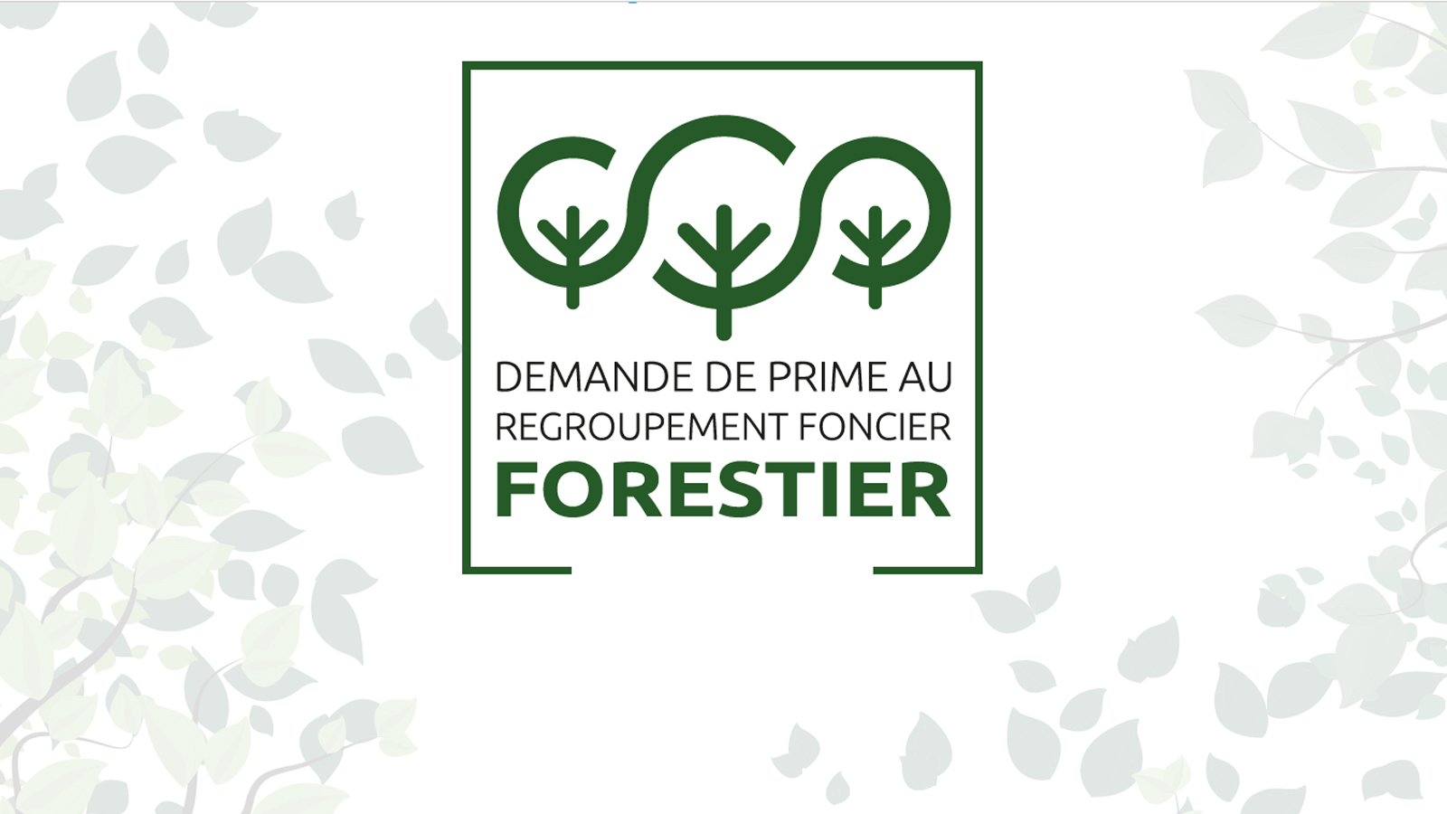 Aide au regroupement foncier forestier