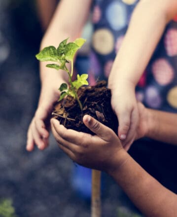 Je plante une haie pour mon école !