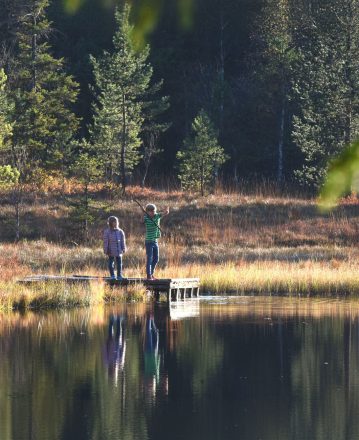 Le Département accélère avec « Vosges transition écologique »