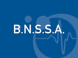 BNSSA : brevet national de sécurité et de sauvetage aquatique
