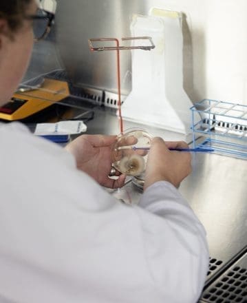 Focus sur le Laboratoire Départemental Vétérinaire et Alimentaire